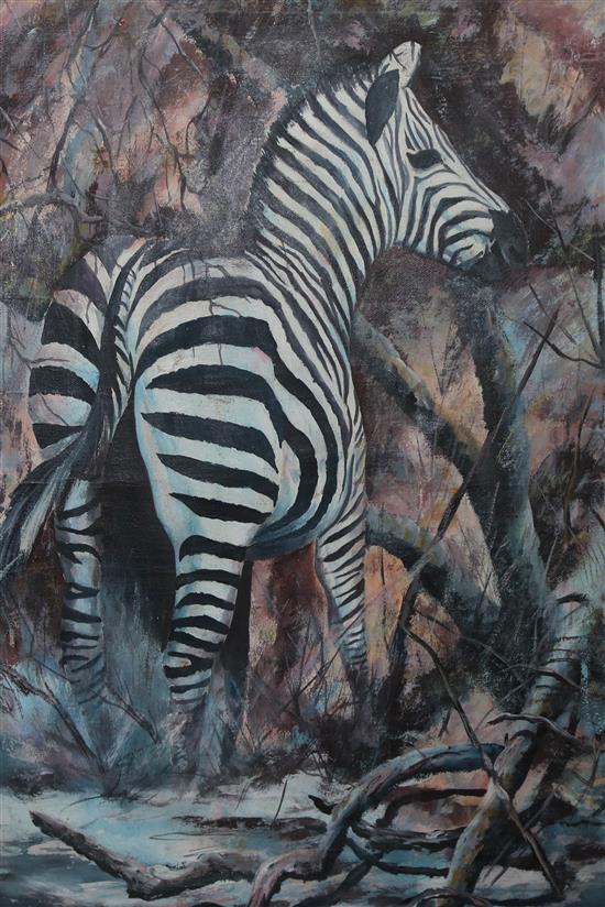 Murila Kamangu, oil, Zebra